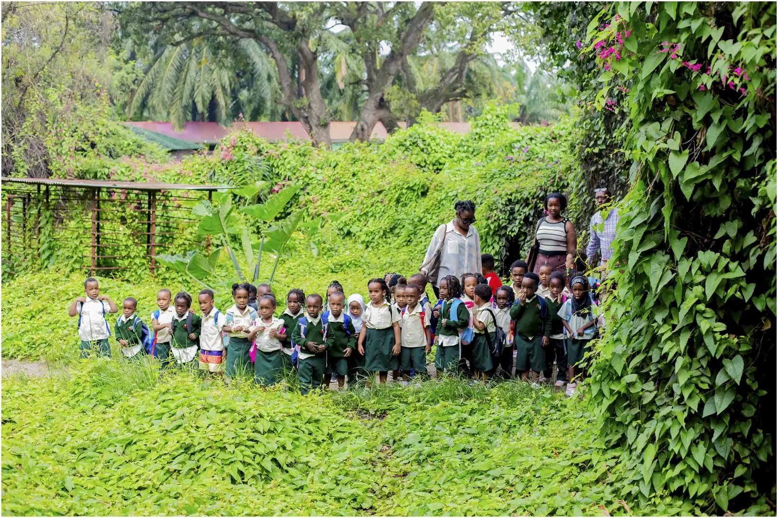 Kindergarten pupils on a nature walk